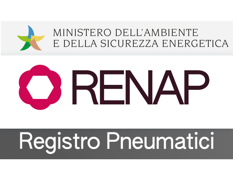 RENAP: WEBINAR IL 14 MAGGIO
