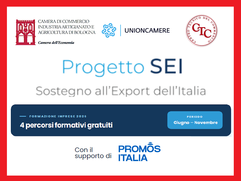 PROGETTO SEI: MARKETPLACE INTERNAZIONALI PER L'EXPORT: MODELLI E STRATEGIE DI UTILIZZO, WEBINAR IL 15/7