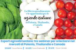 OPPORTUNITÀ ALL’ESTERO. WEBINAR SULLA POLONIA IL 24/3