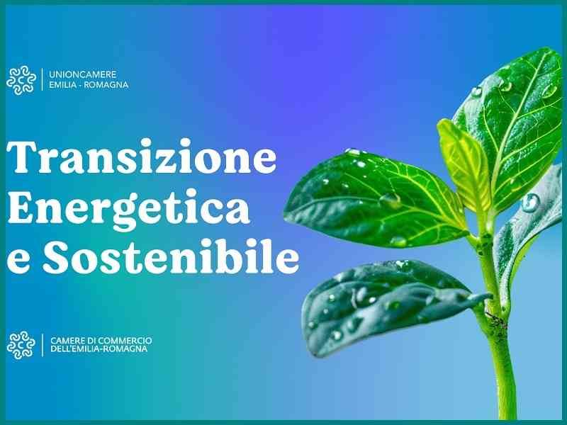 TRANSIZIONE ENERGETICA E SOSTENIBILE